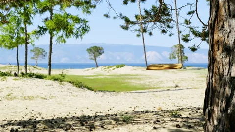 A lone rope swing hangs from a tree and sways on the coast Stock Footage 151363970