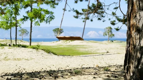 A lone rope swing sways. The concept of growing up, parting with childhood Stock Footage 153068100