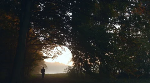 Lone runner in beautiful woods Stock Footage 56550882