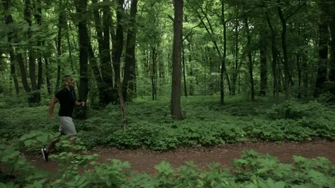 Lone runner in wintry wood, slow motion shot Vídeos de archivo 75540859