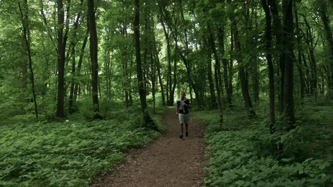 Lone runner in wintry wood, slow motion shot Vídeos de archivo 75541616