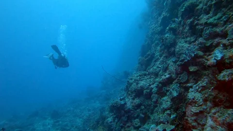 Lone scuba diver diving alongside coral reef wall on Great Barrier Reef Stock Footage 93768288