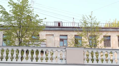 A lone seagull flying sits on the window. Stock Footage 157287144