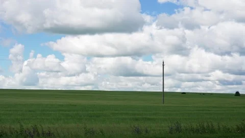 Lone Sentinel in Verdant Field Beneath a Boundless Summer Sky Stock Footage 338383572