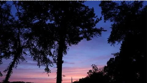 Lone Silhouetted Tree Stock Photos