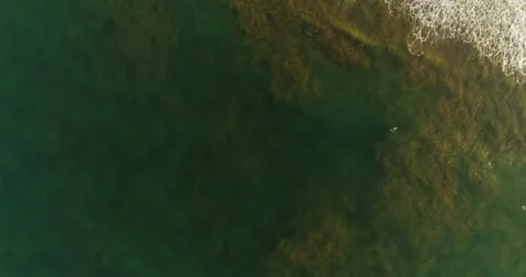 Lone surfer float over large brown under... | Stock Video | Pond5