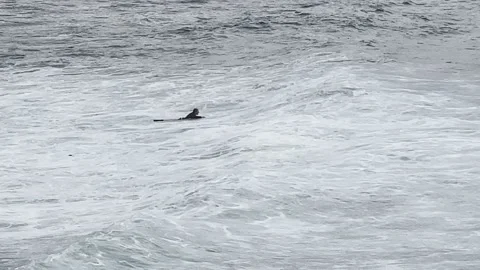 Lone surfer Stock Footage 165082720