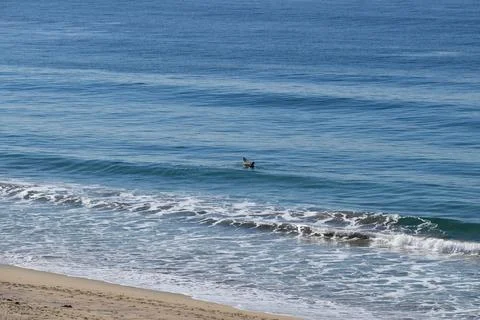 Lone Surfer Foto stock