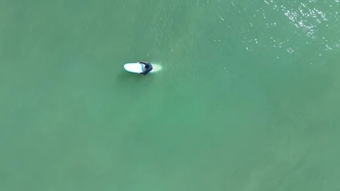 Lone Surfer Stretching Before Entering the Ocean Vídeos de archivo 337969510