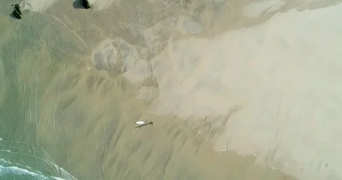 Lone surfer walking on sandy beach with turquoise waves. The Concept of Fre.. 스톡 동영상 325972604