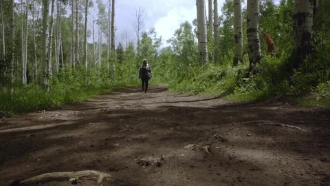 Lone Survivor Stock Footage 248497461