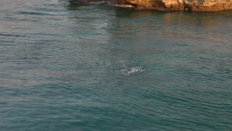 Lone swimmer diving beneath clear turquoise sea beside rugged rocky coast 스톡 동영상 348069931