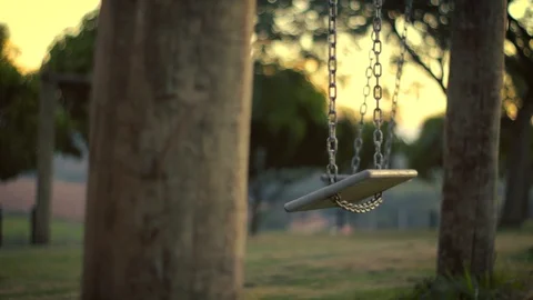 Lone swing Stock Footage 88455565