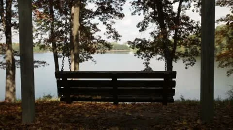 Lone Swing at Lake Video stock 8836748