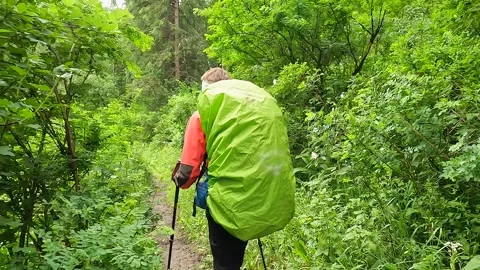 Lone tourist with a large backpack is walking along a forest trail Video stock 246291592