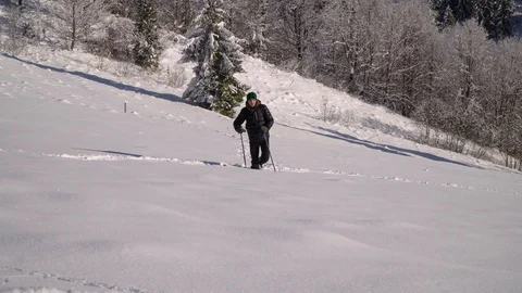 A lone tourist walks through the snow in a mountain forest. Traveler in the Stock Footage 100407341