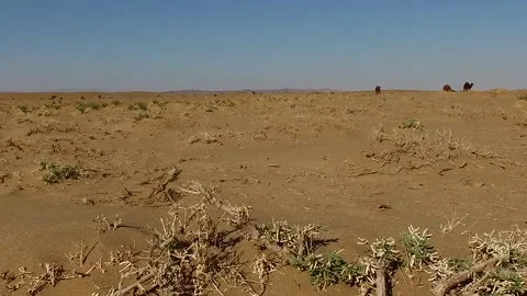 A lone tractor pulls a cart through the barren desert, stock footage. Stock Footage 304816975