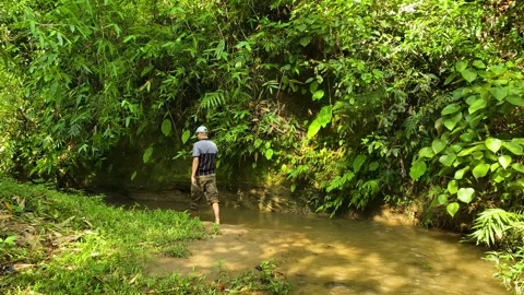 Lone traveler exploring deep forest creek on barefoot through stream with stick Stock Footage 345276221