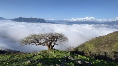 Lone Tree Above Sea of Clouds and Snow-Capped Himalayas in Sichuan Vídeos de archivo 336758177