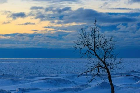 Lone Tree Against a Deep Blue Twilight Sky in Winter with a Frozen Lake as Stock Photos