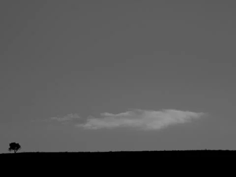 Lone tree and cloud Foto stock