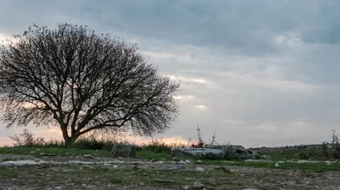 Lone tree with approaching storm clouds. Time lapse, 4k Stock Footage 58252963