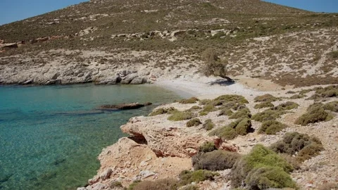 Lone tree on a beach Stock Footage 217936150
