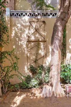 A lone tree casts its shadow on a weathered stone wall, creating a stark Stock Photos