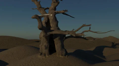 Lone Tree Stock Footage 141888762