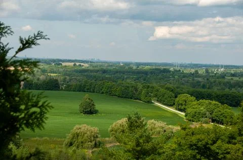 Lone Tree in Green Field with Distant City Skyline and Gravel Road Stock Photos