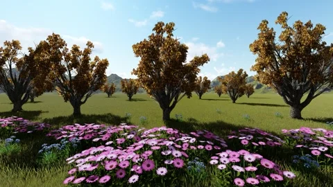 Lone Tree in Green Field Under Beautiful Sky Stock Footage 337180100