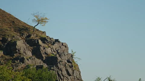 Lone tree growing on rocky cliff under a clear sky. Rugged terrain with sparse Vídeos de archivo 297468935