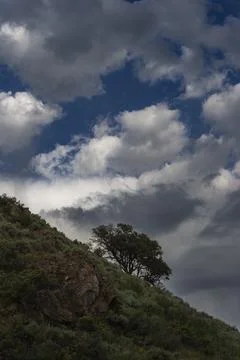 Lone Tree High Desert clouds  Nevada Stock Photos