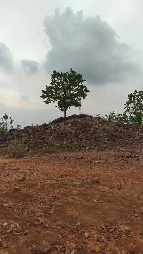 Lone tree hill clouds Stock Footage 336045527
