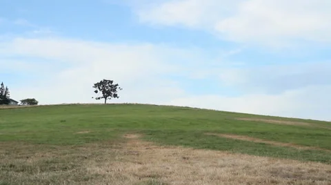 Lone Tree On Hill Stock Footage 34480596