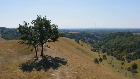A lone tree on a hill with a panorama below Video stock 138711434