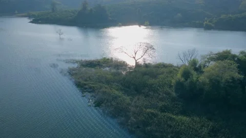 A lone tree on the lake 스톡 동영상 334129504