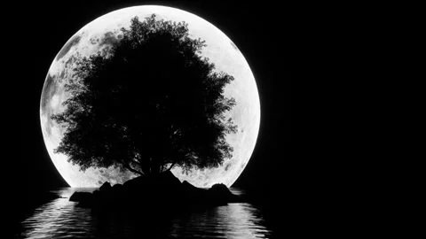 A lone tree in the middle of the dark water Video stock 247081775