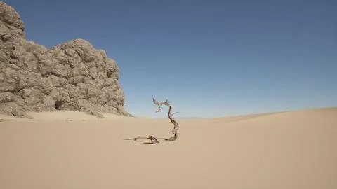 A lone tree in the middle of a desert Stock Illustration