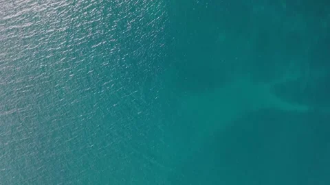 Lone Tree in the Middle of the Sea | Surreal Ocean Landscape 4K Vídeos de archivo 337702883