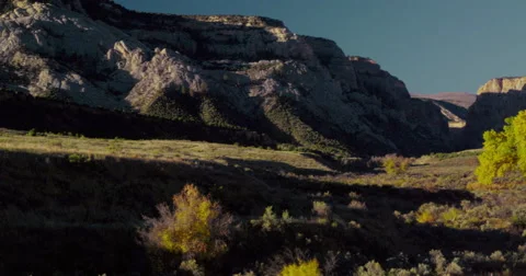 A lone tree in the morning light Echo Canyon, Dinosaur National Park Stock Footage 59195590