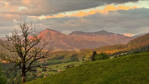 Lone Tree in a Mountain Landscape Video stock 310312835