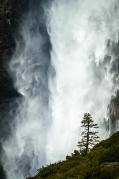 Lone tree Stock Photos