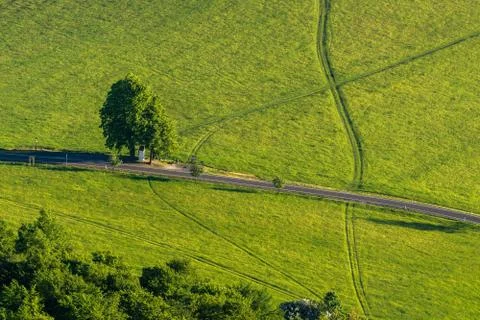 Lone tree Stock Photos