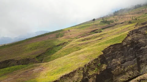 Lone Tree On Rinjani Mountain Slopes Rolling Cloud Volcano Lombok Indonesia Stock Footage 337105512