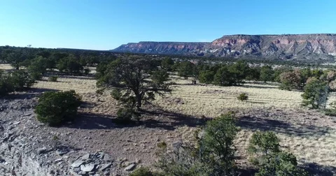 Lone tree sitting on the cliff's edge Stockbeeldmateriaal 84329276