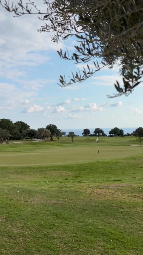 Lone tree stands on open green golf course under wide summer sky creating Stock Footage 334577700