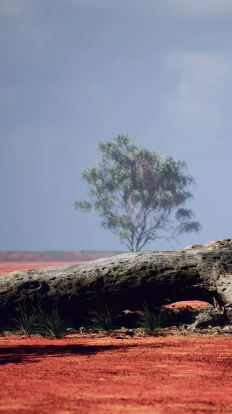 Lone tree stands in a red landscape with fallen log in the foreground Stock Footage 338378129
