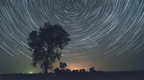 Lone tree startrails time lapse Stock Footage 47766499