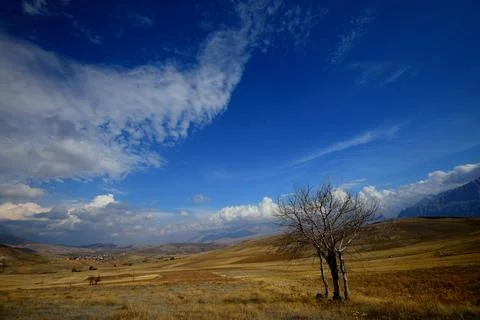 Lone Tree Under Dramatic Expansive Sky Stock Photos